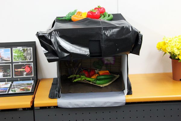 モバイルカメラNo.1の高画質 ELUGA P